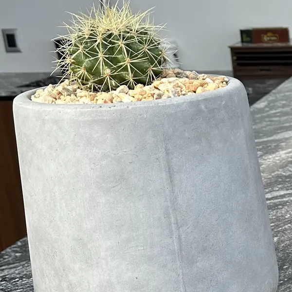 Maceta de concreto aparente